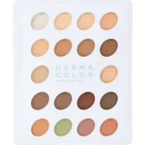 Camouflage Creme Mini-Palette 18 kleuren van Dermacolor